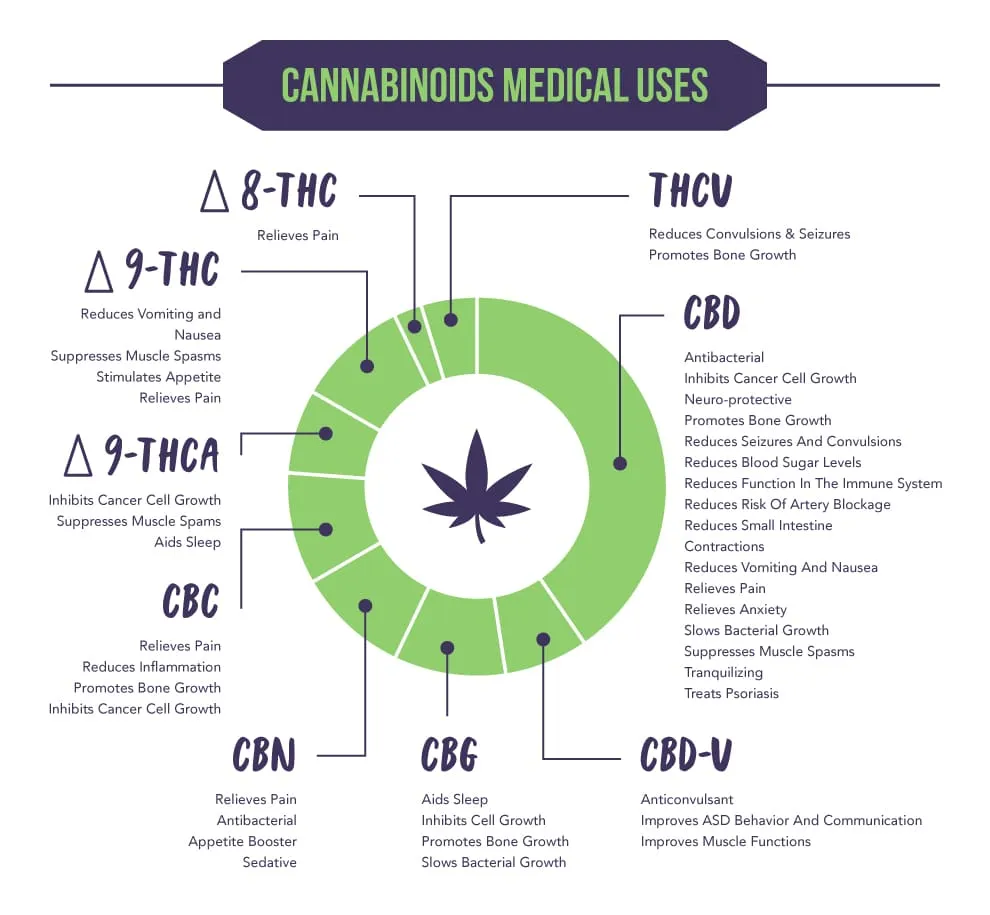 Cannabinoids-Medical-Uses-1920w