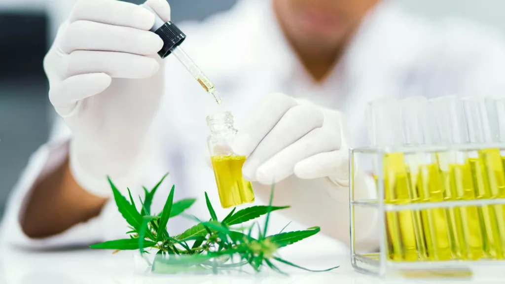 HHC cannabis