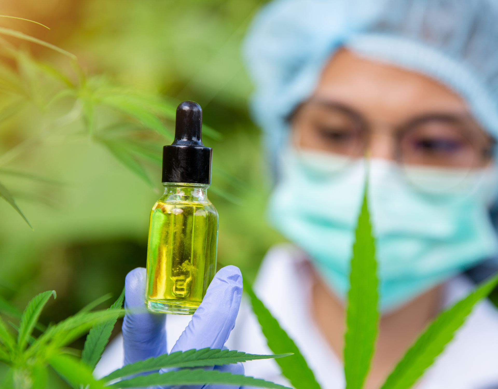 Read more about the article What is HHC-P?