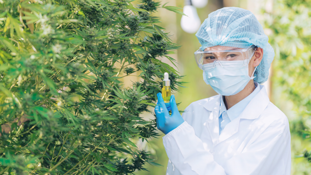 THCP An Interesting New Phytocannabinoid