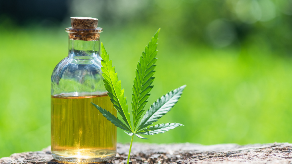 CBD Oil (3)