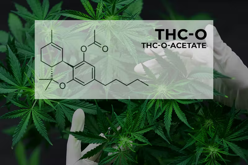 Read more about the article What is D9-THCO?