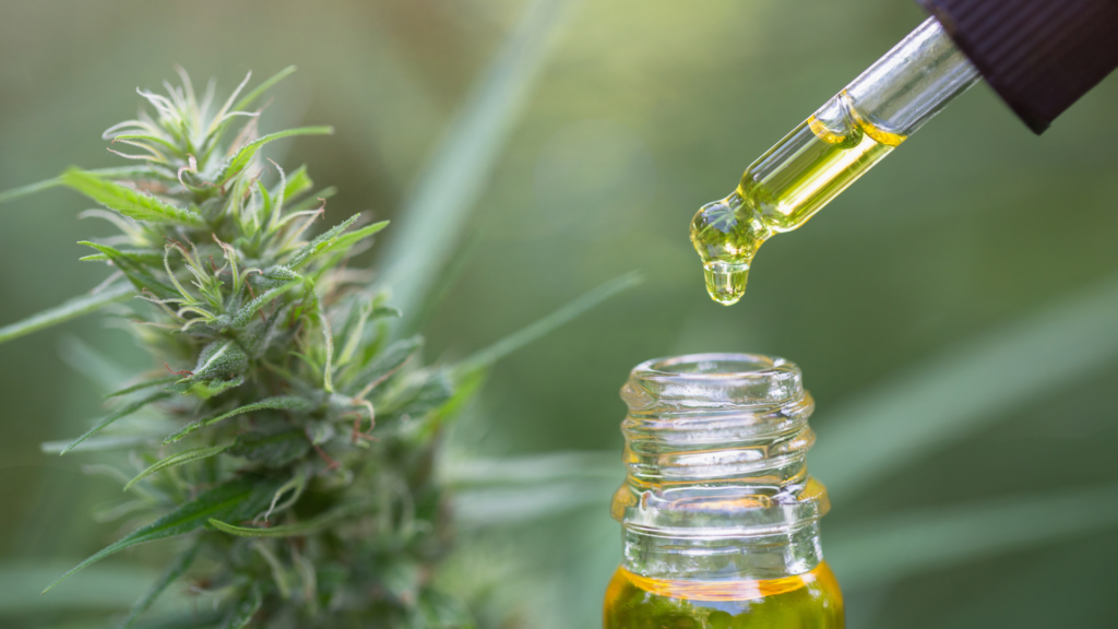Is CBD Gaining Popularity in Europe