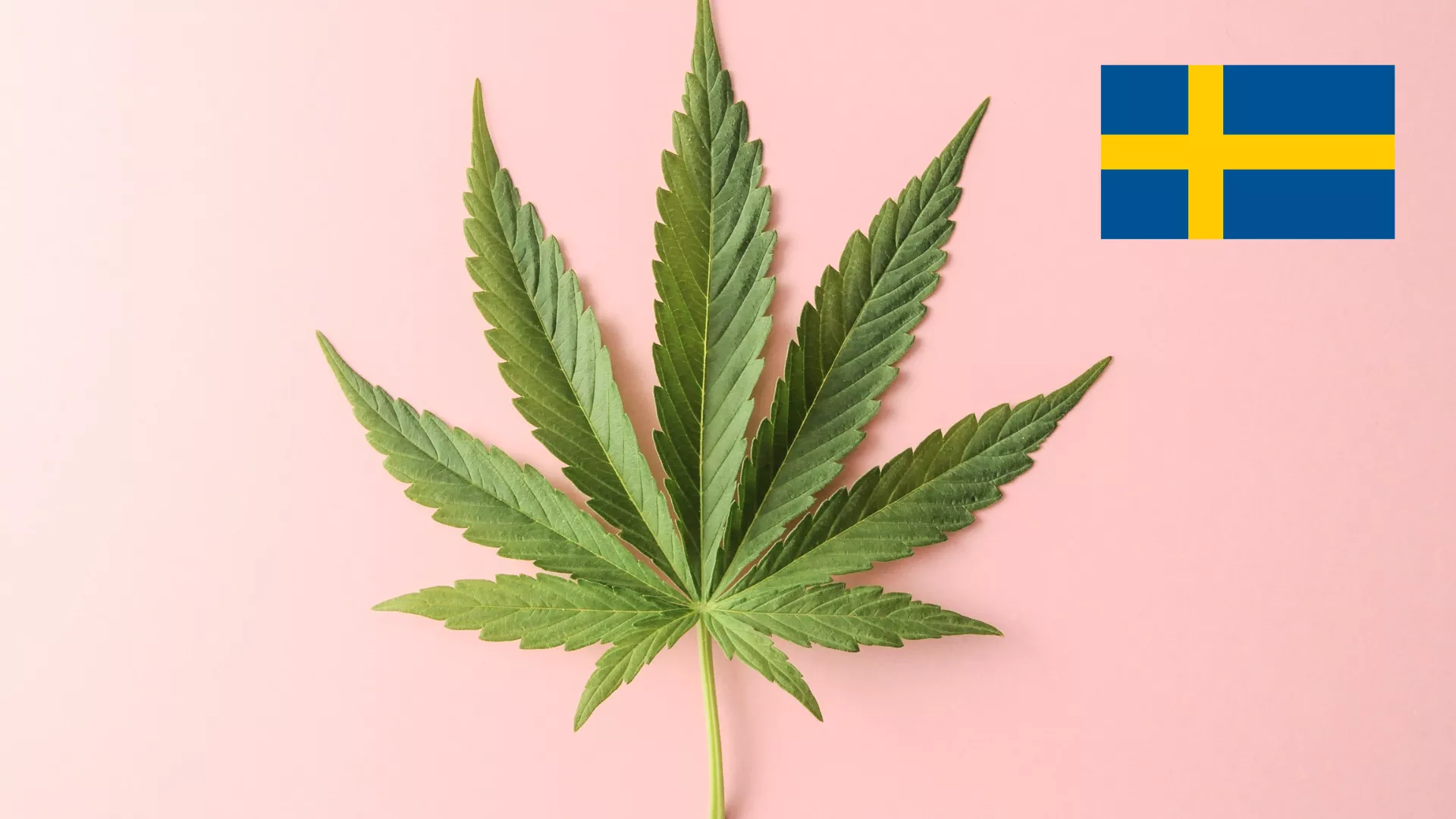 Read more about the article Cannabinoid Laws in Sweden