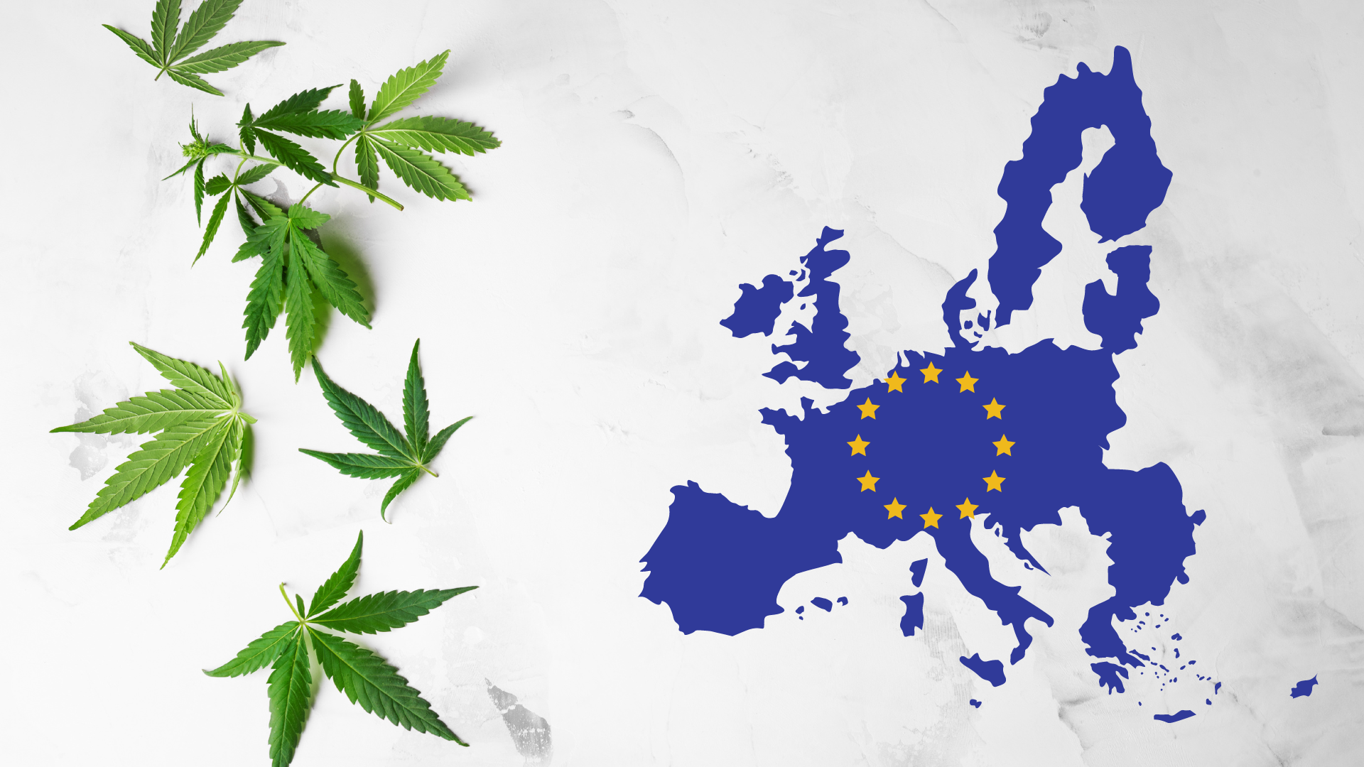 Read more about the article “Navigating the New Wave: The Transition from HHC to 10-OH-HHC in Europe’s Evolving Cannabinoid Landscape