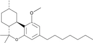 Structure of HHCPm