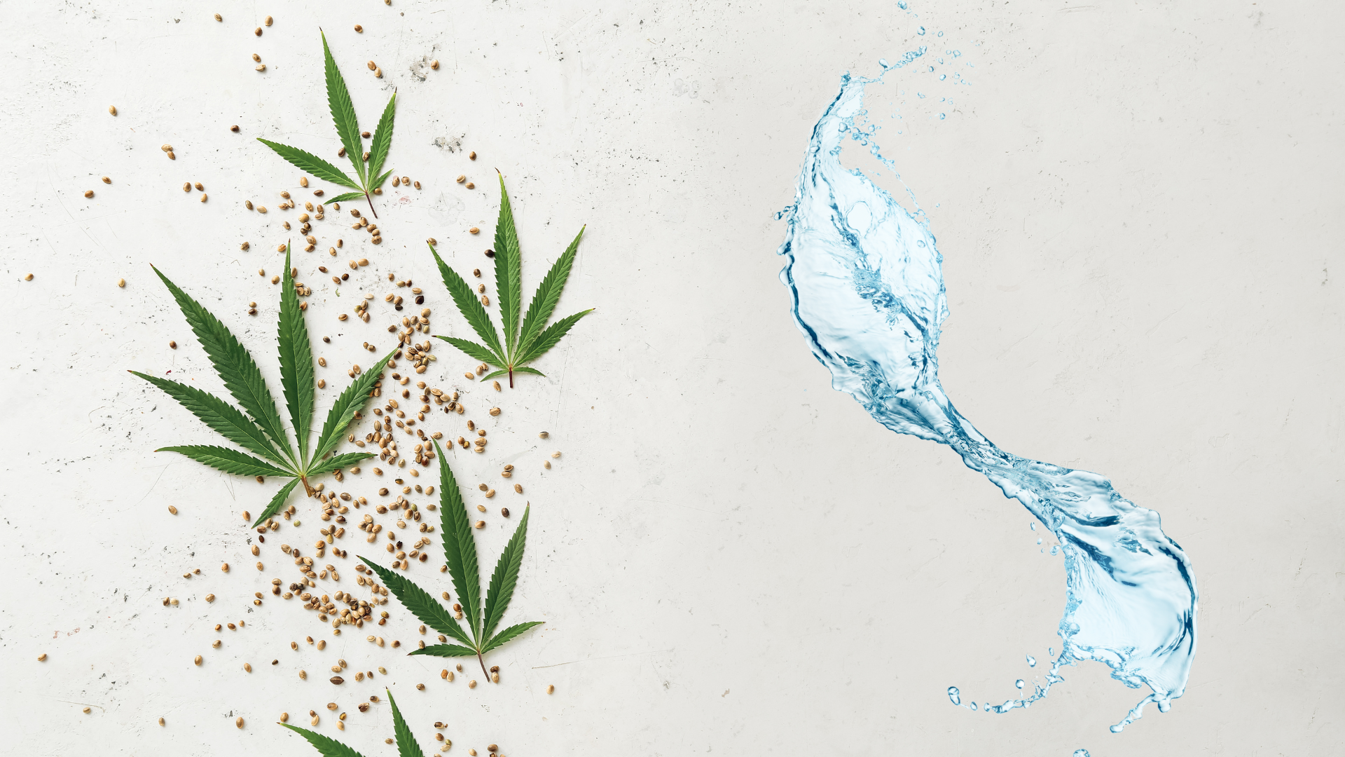 Water-Soluble Cannabinoids