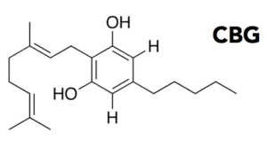 Water Soluble CBG Isolate