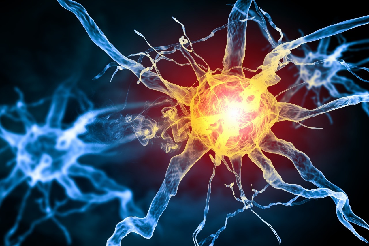 Read more about the article How Can I Activate My Cannabinoid Receptors Naturally?
