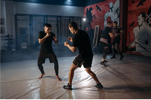 Read more about the article Why Is CBD a Go-To for MMA Fighters?
