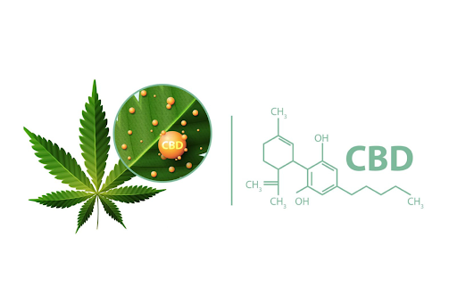 CBD-formula