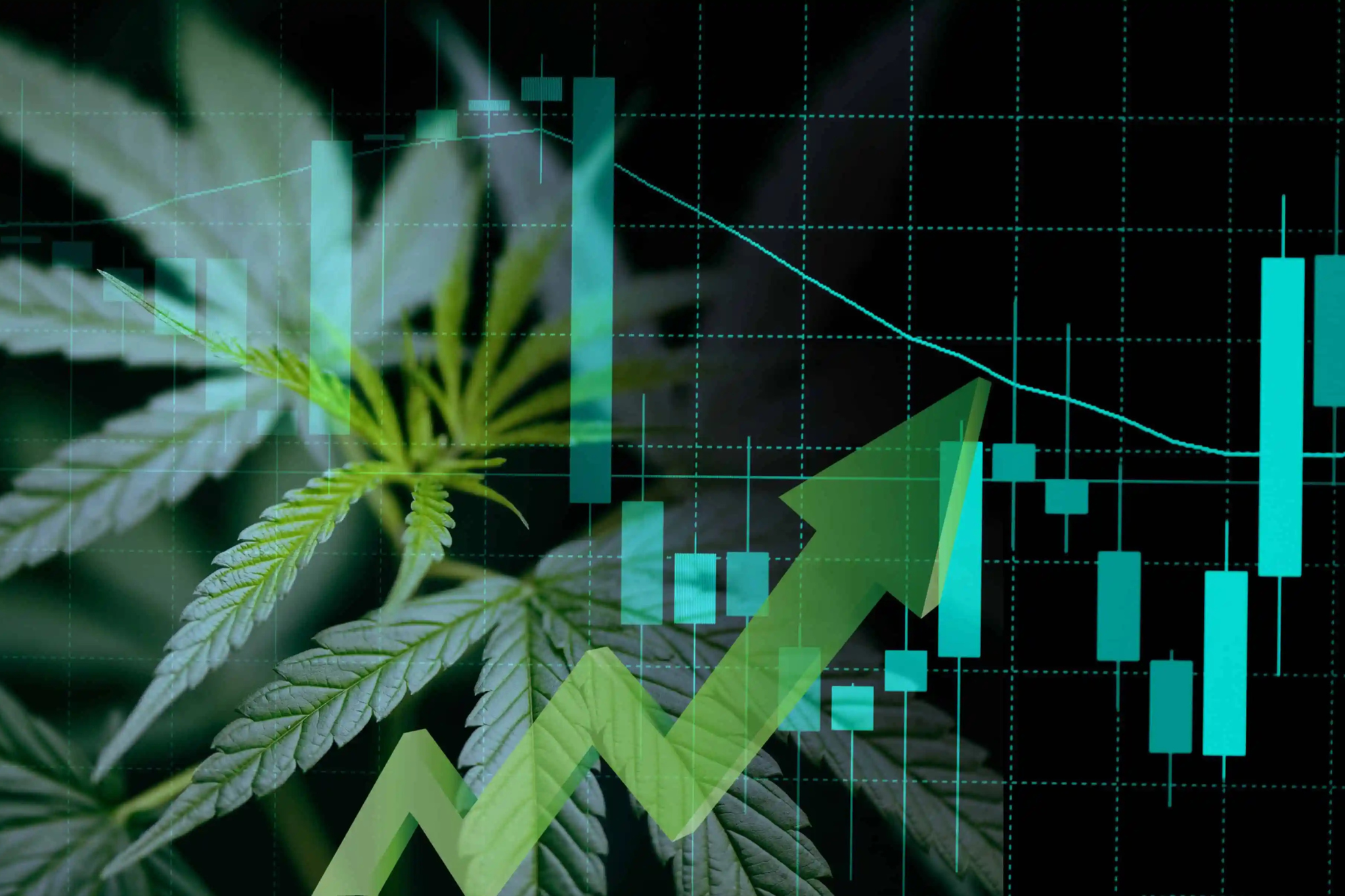 Read more about the article The Future of the CBD Market: Projected Growth to €200 Billion by 2032