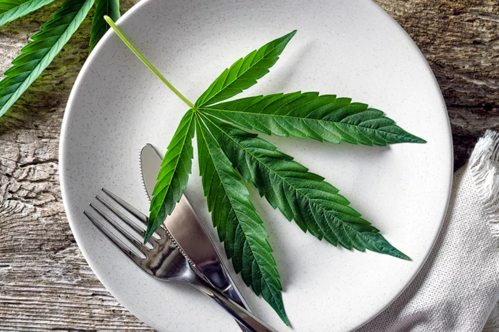 Cannabinoids and Nutrition: What You Need to Know