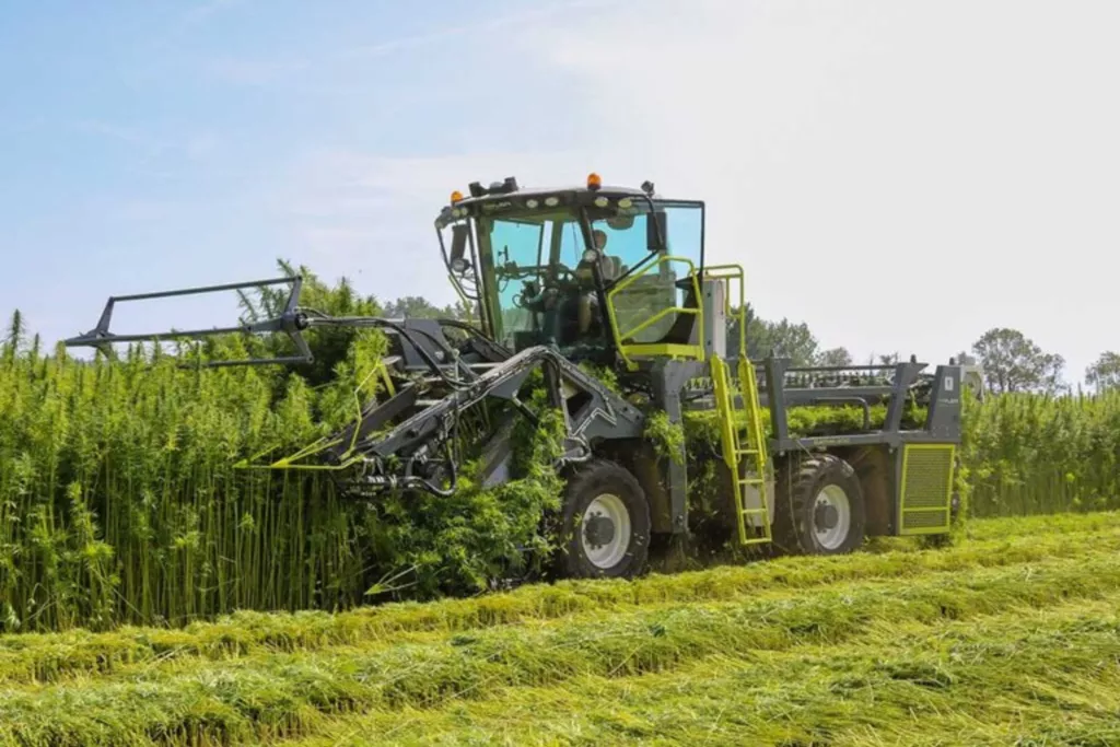Farming of Hemp