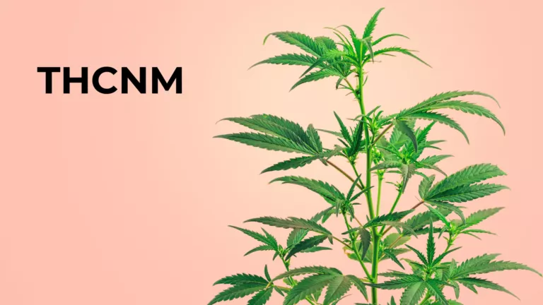 THCNM: The Next Frontier in Cannabinoid Science