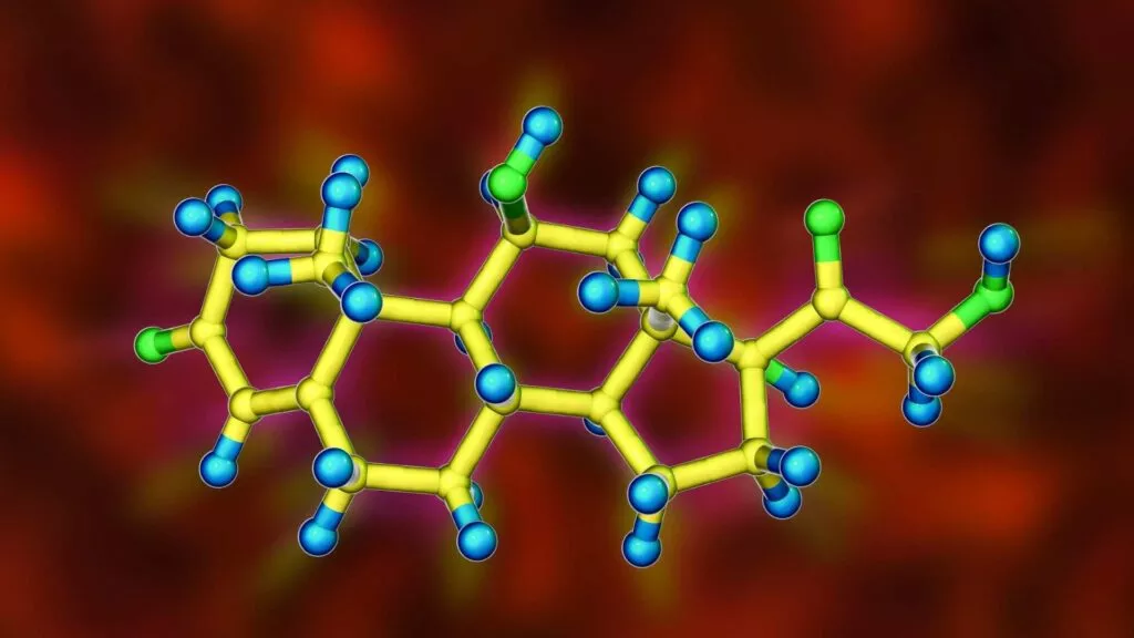 How Cannabinoids Affect the Brain