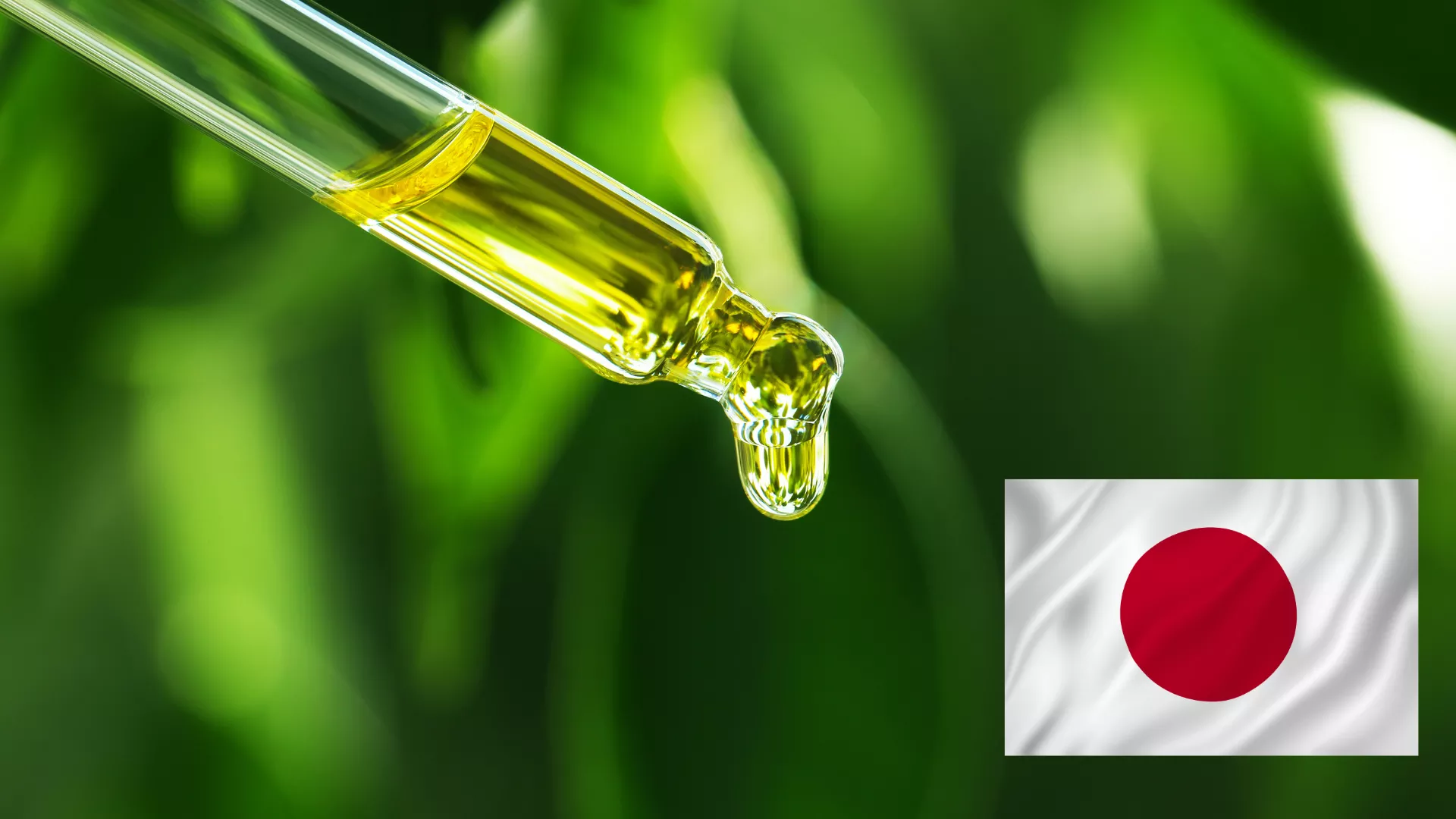 Read more about the article WeeDutch Enters Japan: Compliant, Premium Cannabinoids for a Rapidly Growing Market