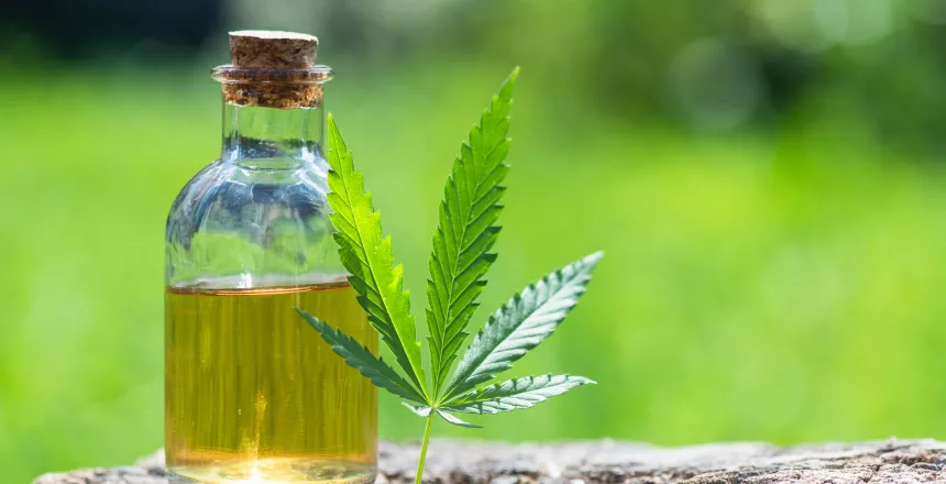 CBD Oil (3)