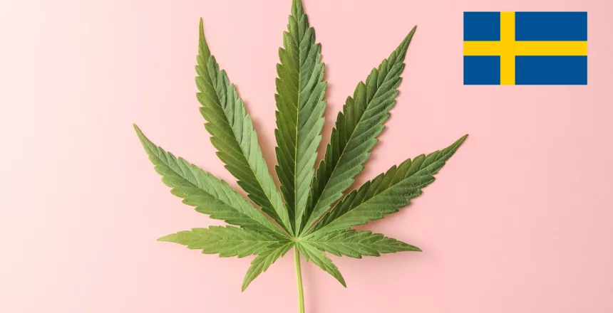 Cannabinoid Laws in Sweden