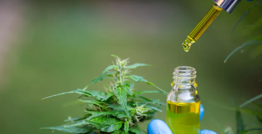Cannabinoids