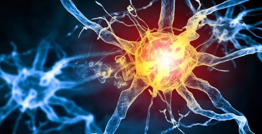 How Can I Activate My Cannabinoid Receptors Naturally