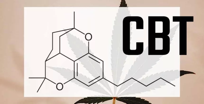cbt_cannabinoid EU Supplier