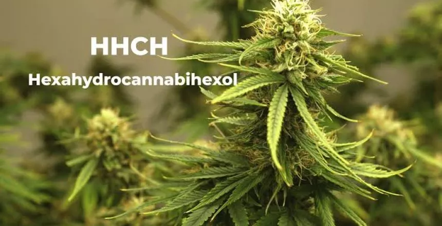 HHCH Cannabioid