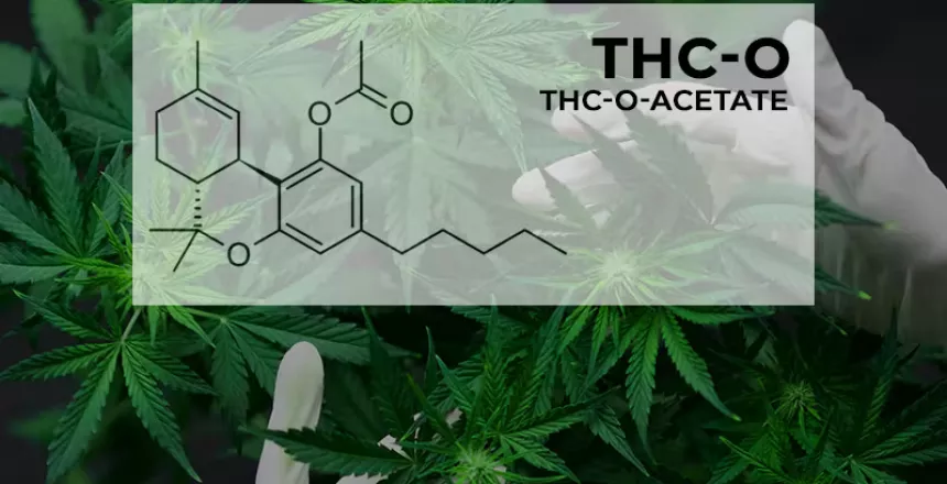 What Is D9-THCO